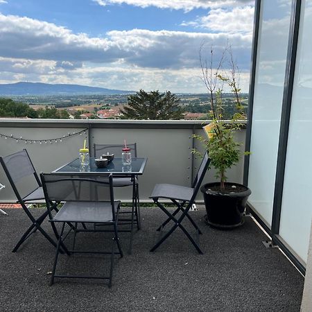 Appart & Fleurinoise Balcon Ascenseur Climatisation Fleurieux-sur-lʼArbresle エクステリア 写真